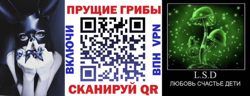 Галлюциногенные грибы ЛСД  Орехово-Зуево 
